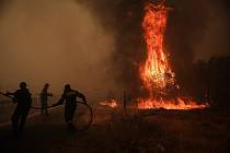 Po cestě do teplých krajin nacházejí smrt. Řecké požáry matou čápy