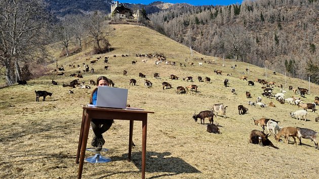 Výuka na hřebeni, 20. března 2021. Desetiletá Fiammetta z ovčácké rodiny obklopená stádem koz ve Val di Sole se právě připojila k online výuce. Severoitalské školy byly zavřené kvůli koronavirové pandemii