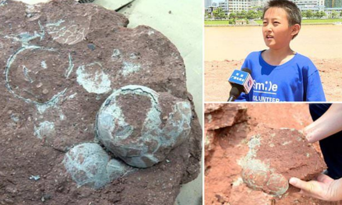 Desetiletý Číňan objevil hnízdo s fosilními dinosauřími vejci. Jeho stáří přesahuje 65 milionů let