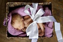 Odložit dítě po porodu do baby boxu je pro něj zdravotně méně bezpečné, než kdyby matka využila utajený porod, myslí si odborníci