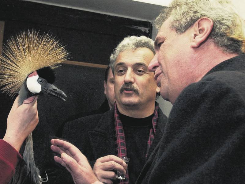 PŘÁTELÉ A POSLANCI. Šála, knír a kudrnaté vlasy, to byly tři známé znaky významné osobnosti Pavla Dostála. Na snímku z roku 2002 je s Milošem Zemanem v ZOO ve Dvoře Králové.