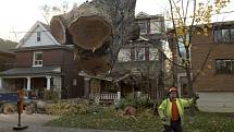 Ničivý hurikán Sandy se prohnal Kanadou.