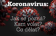 Koronavirus: Jak se pozná? Kam volat? Co dělat?