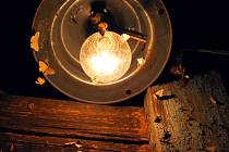 Rozsvícené lampy spolehlivě přilákají noční hmyz. Vědci hledali důvod…