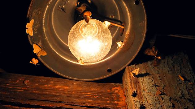 Rozsvícené lampy spolehlivě přilákají noční hmyz. Vědci hledali důvod…