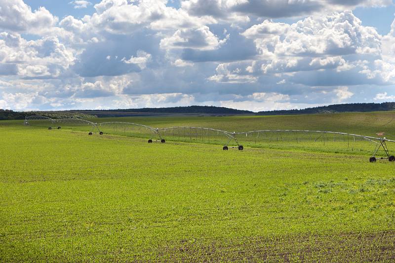 Farma Karla Horáka v Choťovicích na Nymbursku