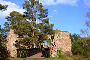 Vstup do hradu střeží statná borovice