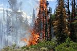 V národním parku Yellowstone jsou časté požáry. Ty, které vznikly "přírodně" (třeba úderem blesku) nechává často správa parku volně hořet, dokud plamenům nedojde dech