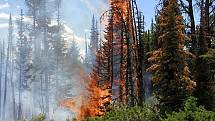 V národním parku Yellowstone jsou časté požáry. Ty, které vznikly "přírodně" (třeba úderem blesku) nechává často správa parku volně hořet, dokud plamenům nedojde dech