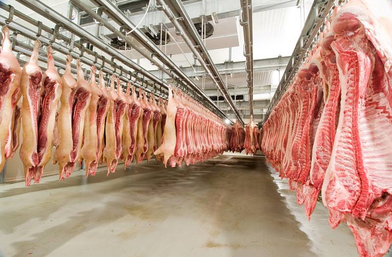 Lidé omezují konzumaci masa kvůli obavám, že hospodářská zvířata trpí.