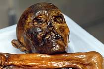 Mumie 5000 let starého muže nalezená v Ötztalských Alpách a proslavená jako Ötzi