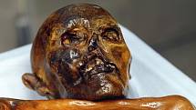 Mumie 5000 let starého muže nalezená v Ötztalských Alpách a proslavená jako Ötzi