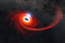 Červený disk horkého plynu kolem černé díry. Proud plynu je pozůstatkem hvězdy, kterou černá díra roztrhla. Oblak horké plazmy nad černou dírou se nazývá koróna.