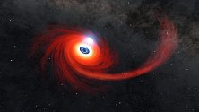 Červený disk horkého plynu kolem černé díry. Proud plynu je pozůstatkem hvězdy, kterou černá díra roztrhla. Oblak horké plazmy nad černou dírou se nazývá koróna.