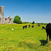 Irsko - "zelený ostrov"