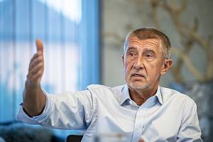 Expremiér a předseda hnutí ANO Andrej Babiš