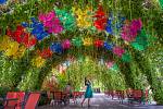 Miracle Garden v Dubaji nabízí i fotogenický deštníkový tunel.