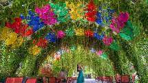 Miracle Garden v Dubaji nabízí i fotogenický deštníkový tunel.