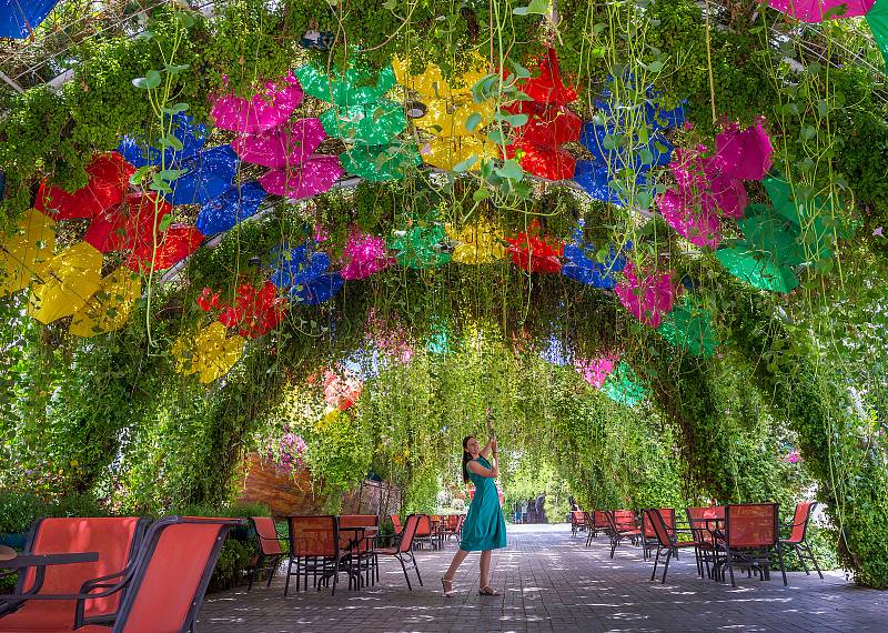 Miracle Garden v Dubaji nabízí i fotogenický deštníkový tunel.