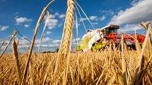 Obávají se, že nová vláda změní tzv. Strategický plán pro společnou zemědělskou politiku EU. Ten byl dosud nakloněn agrokomplexům.