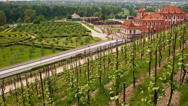 Vinice sv. Kláry v Troji v Praze má téměř 800 let dlouhou historii pěstování vína.