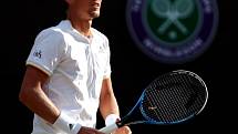 Tomáš Berdych je v semifinále Wimbledonu. Djokovič skrečoval zápas kvůli zranění