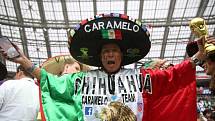 Mexičtí fanoušci při duelu svých oblíbenců s reprezentací Německa.