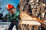 Pokud se rozhodnete pro zpracování větších kusů dřeva, jako jsou třeba klády nebo kulatina, přímo v lese, bude správným pomocníkem výkonnější benzinová řetězová pila.