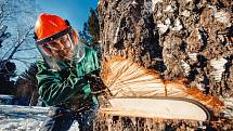 Pokud se rozhodnete pro zpracování větších kusů dřeva, jako jsou třeba klády nebo kulatina, přímo v lese, bude správným pomocníkem výkonnější benzinová řetězová pila.
