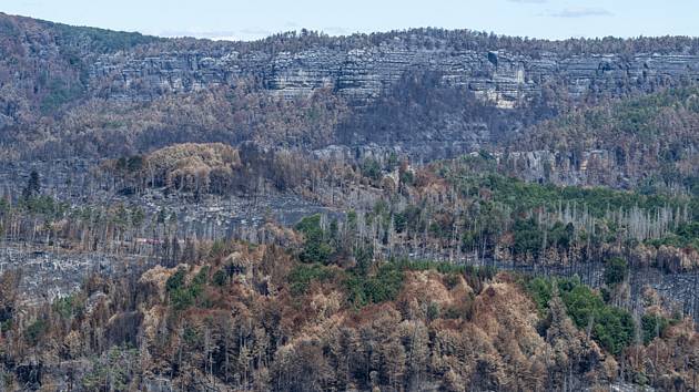 Požár v národním parku České Švýcarsko, 6. srpna 2022, Děčínsko
