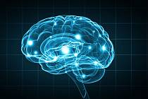 Mozek je ve chvíli smrti nebývale aktivní. Ilustrační foto
