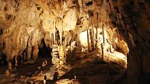 Ve Sloupsko-šošůvských jeskyních vás uchvátí nádherná krápníková výzdoba.