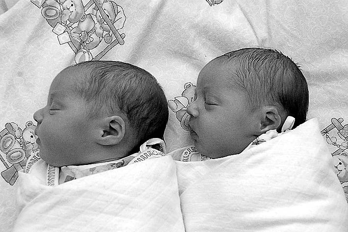 Laura Lefkovičová, 14. 2. 2008, 47 cm, 2950 g, Karin Lefkovičová, 14. 2. 2008, 46 cm, 3040 g, Fakultní nemocnice Na Bulovce