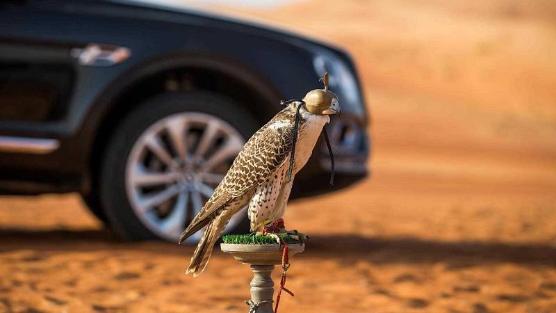 Bentley Bentayga Falconry.