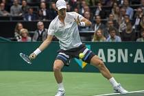 Tomáš Berdych ve finále turnaje v Rotterdamu