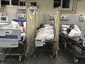Pacient, který zemřel na nový koronavirus, leží (uprostřed) mezi ostatními pacienty s covidem-19 v jedné místnosti v městské nemocnici Salgada Filha v brazilském Riu de Janeiro (na snímku z 24. května 2020).