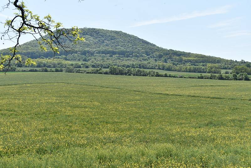 Ze samotného pole a bezprostředního okolí není obří obraz patrný, na tomto snímku o něm svědčí barevně odlišné pruhy