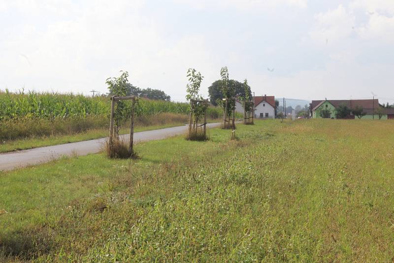 S podporou fondů EU došlo na výstavbu polní komunikace na okraji obce Choťovice za místní farmou a nově vybudovanými rodinnými domy
