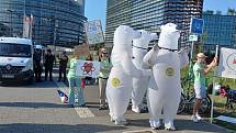 Na podporu zařazení jaderné energie na seznam zelených zdrojů se před budovou Evropského parlamentu demonstrovalo.