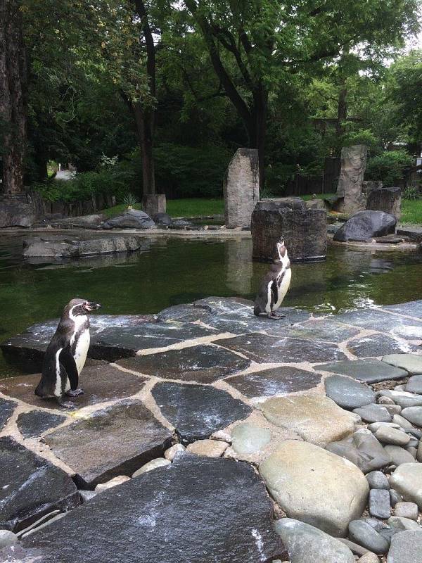 Pavilon tučňáků