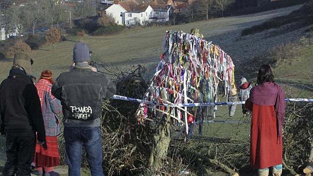 Posvátný hloh v britském městě Glastonbury poničili vandalové.