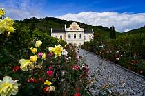 Vinařská turistika v údolí Dunaje. Světově známá oblast Wachau a sousední vinařské městečko Langelois lákají návštěvníky z Česka