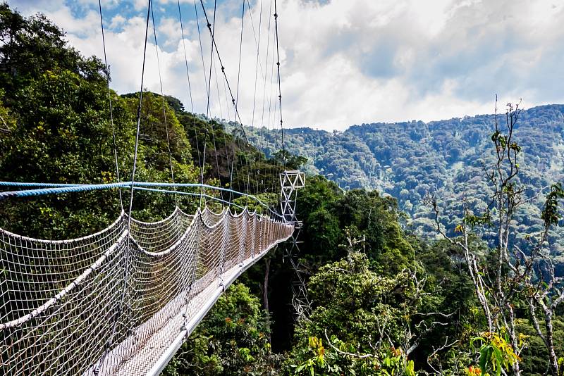 Canopy Walk (Ghana)