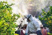Omezení pesticidů europoslanci zamítli.