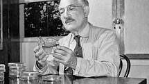 Profesor Selman Waksman