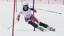 Ester Ledecká poprvé v hledáčku Deníku, 16. února 2011, Evropský zimní olympijský festival mládeže v Liberci (konkrétně v Rejdicích na lyžích)
