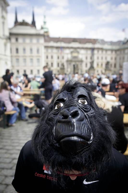 Čtvrtý ročník charitativního Běhu pro gorily v Praze.