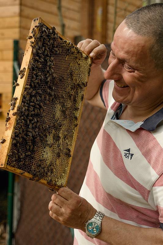 Jarní péče o včelstva v expozici brněnské zoo. Augustin Uváčik přidával do úlů nástavky.