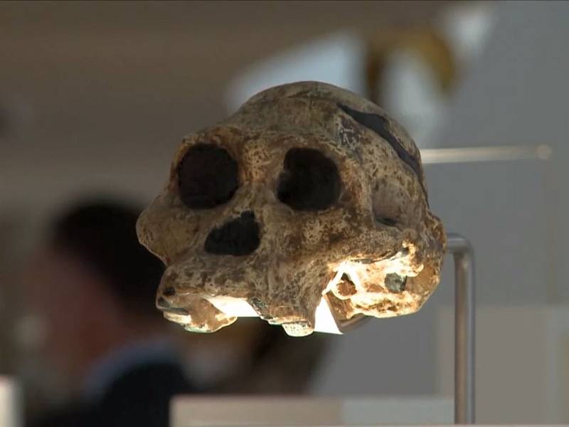 Zřejmě nejstarší lebeční úlomek druhu Homo sapiens byl nalezen vedle lebky neandrtálce