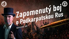 O tvrdosti a rozhodnosti československého odporu vůči maďarské agresi svědčí také výčet ztrát. Přestože Čechoslováci čelili na Podkarpatské Rusi obrovské početní i materiální přesile, zaznamenali během ústupových bojů menší ztráty než protivník